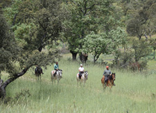 Spain-Central Spain-Treasures of Extremadura Ride